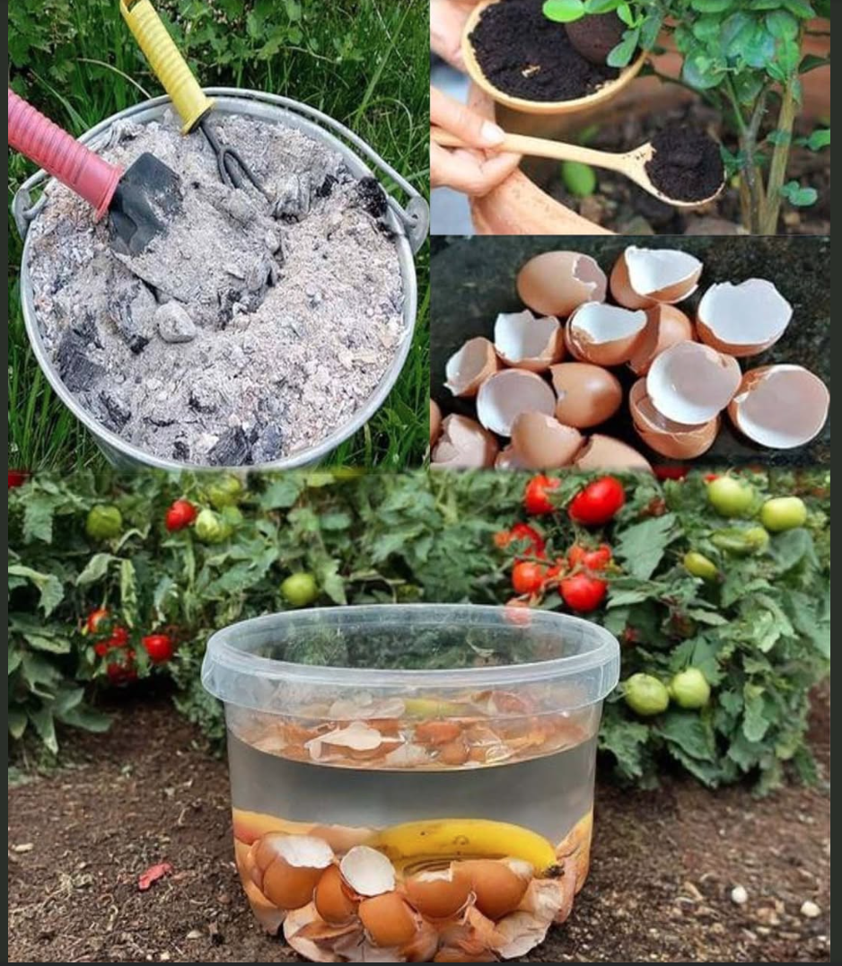 Screen Shot 2025-06-24 at 6.56.35 PM.png