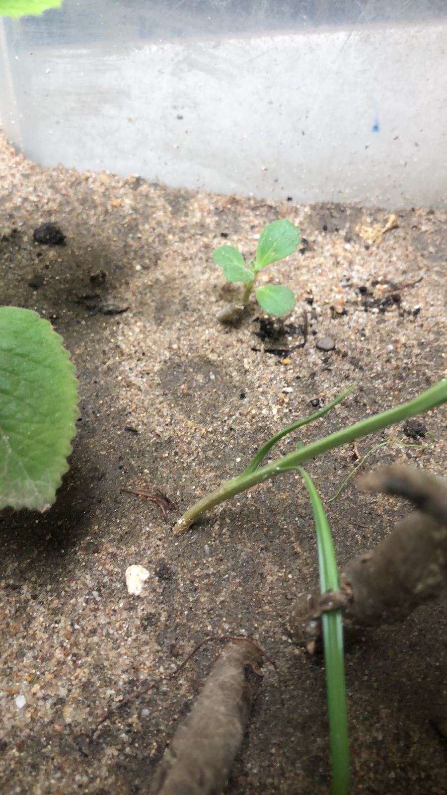 WhatsApp Image 2025-06-26 at 11.47.07.jpeg