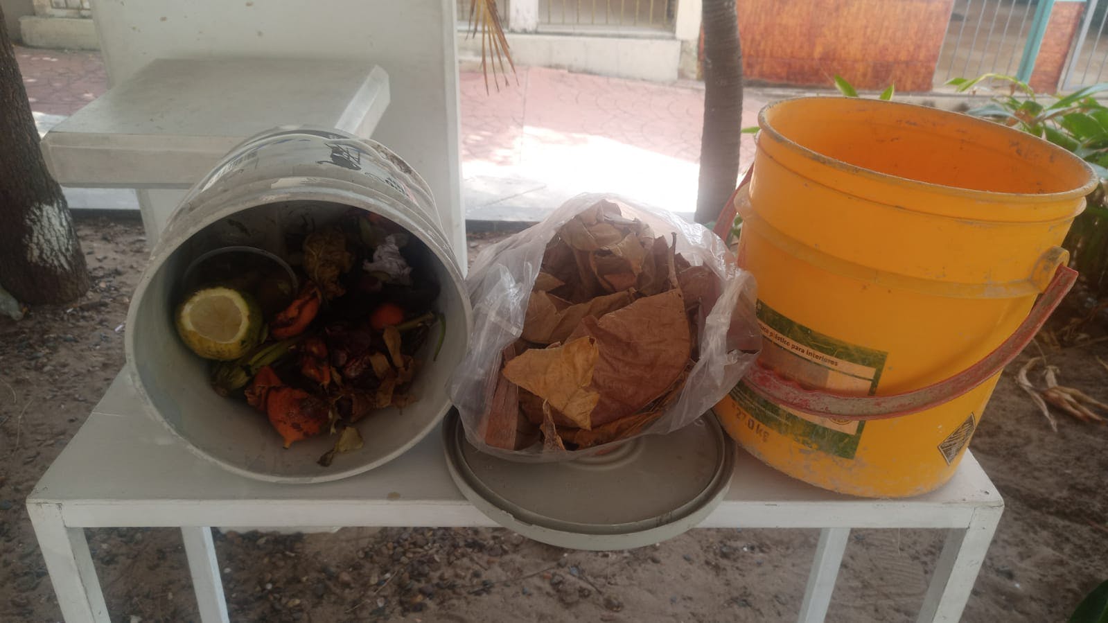 WhatsApp Image 2025-07-31 at 15.15.41.jpeg