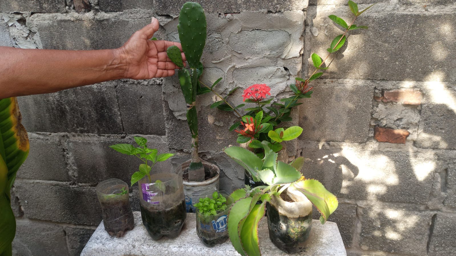 WhatsApp Image 2025-08-26 at 16.43.28.jpeg