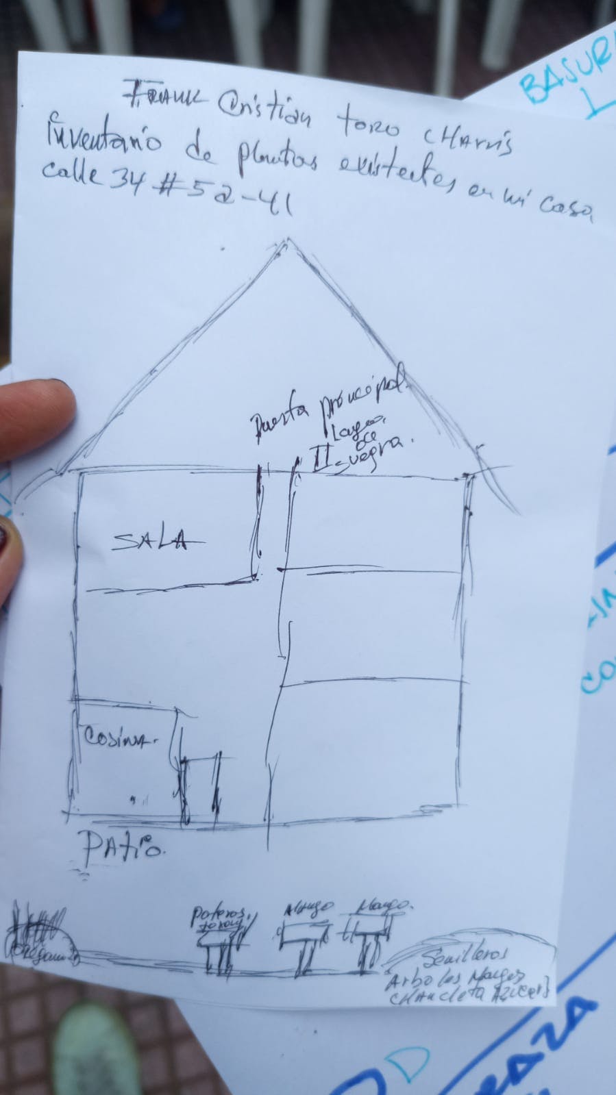 WhatsApp Image 2025-07-24 at 16.16.27.jpeg