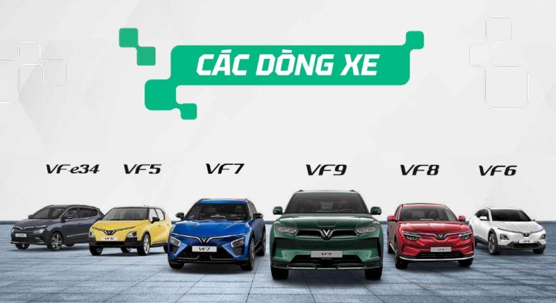 thue-xe-vinfast-tu-lai-tet.jpg