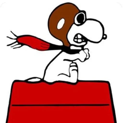 snoopy_red_baron.webp