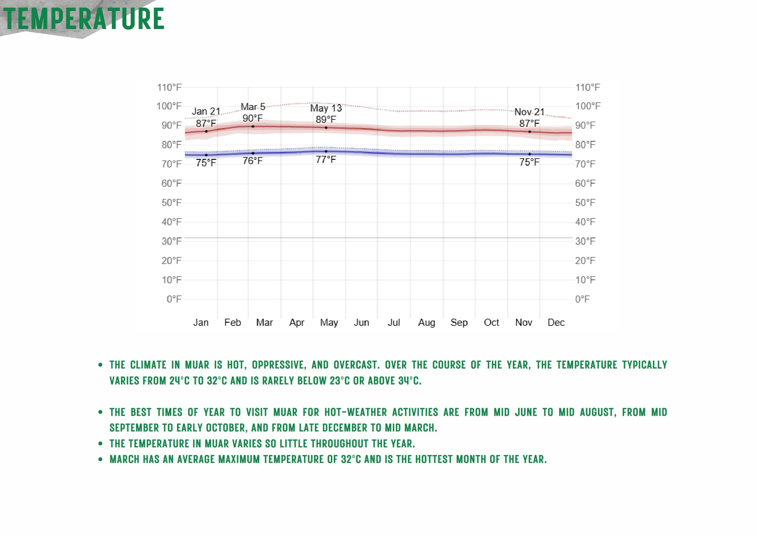 Group C Micro&Macro Updated_022.jpg