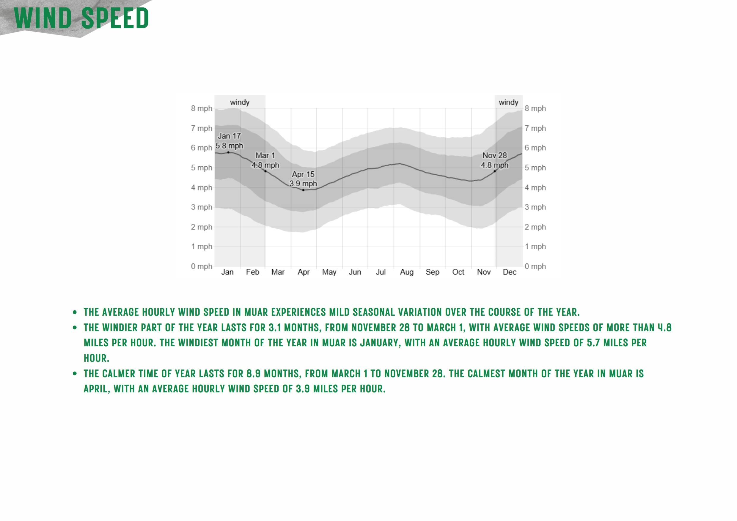 Group C Micro&Macro Updated_023.jpg
