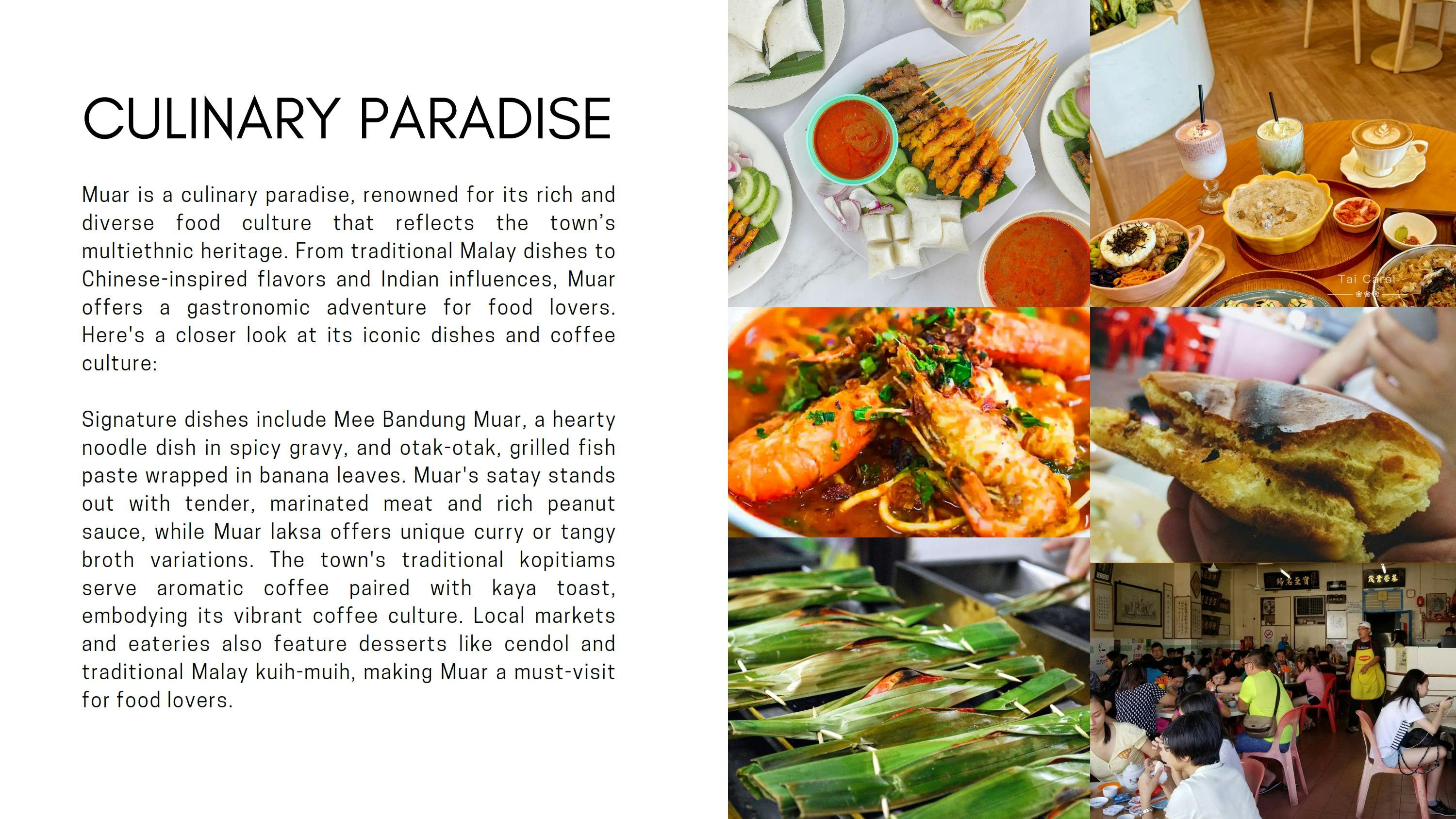 Townscape Appraisal Muar_opt 2_008.jpg