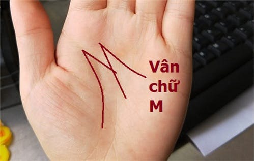 XEM BÀN TAY chỉ cần có 1 trong các ĐƯỜNG VÂN này, đảm bảo CUỘC ĐỜI GIÀU  SANG SUNG TÚC, phú quý vây quanh - Trắc nghiệm - Việt Giải Trí