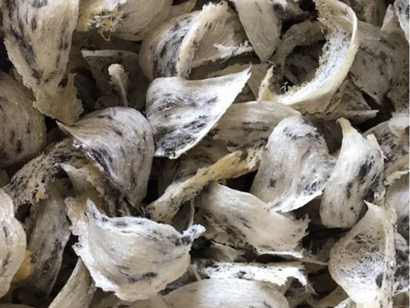 Nhặt lông Yến không sạch có sao không.png