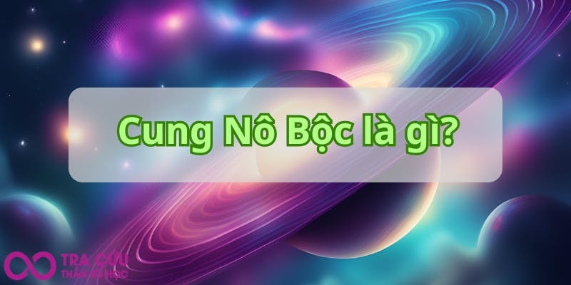 Cung Nô Bộc là gì.jpg