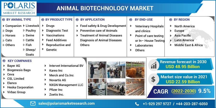 Animal Biotechnology Market.jpg