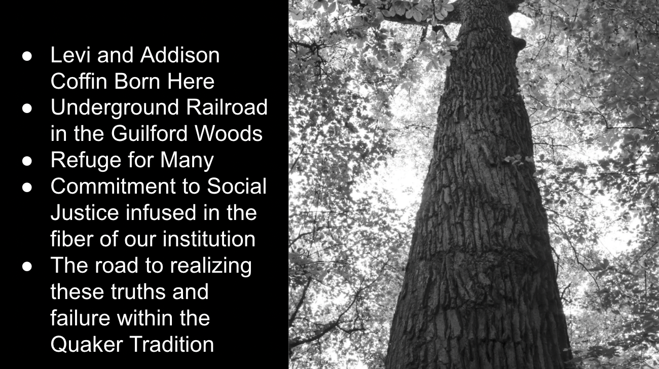 Screen Shot 2021-08-13 at 12.03.13 PM.png