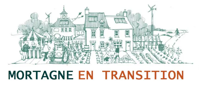 cropped-transitionimage1.jpg