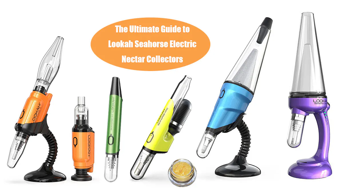 ultimate-guide-to-lookah-seahorse-range.jpg