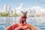 brown short coated dog on orange kayak