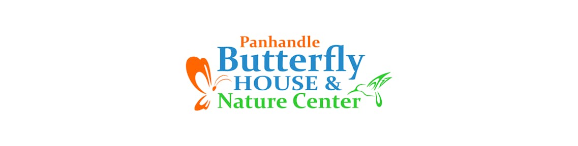 Panhandle Butterfly (1).png