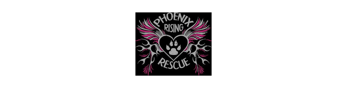 Phoenix Rising.png