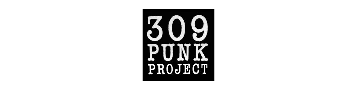 309 Punk.png
