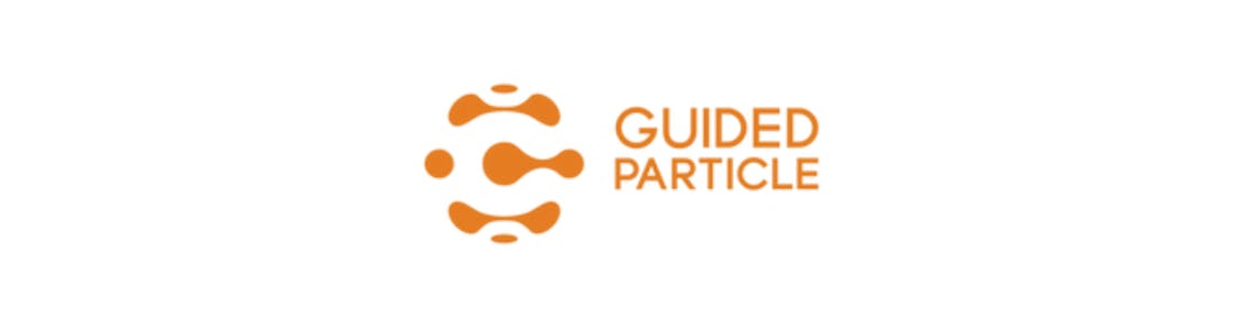 Guided Particle.png