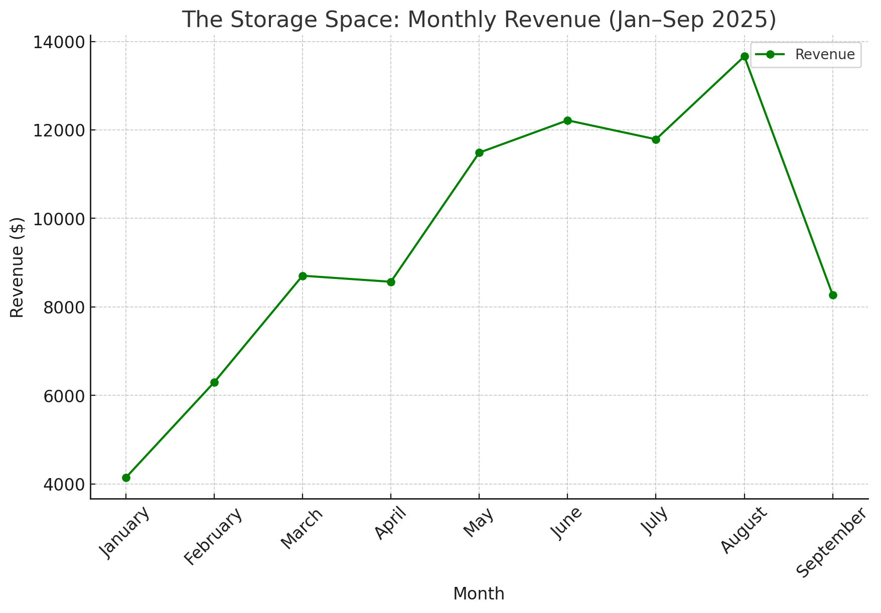 StorageSpace_Revenue_2025.png