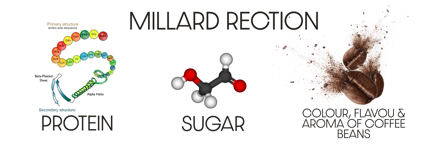 millard-reaction.png