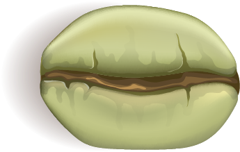 Roast1 Drying.png