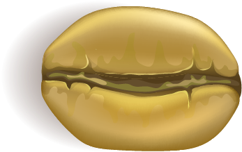 Roast2 Yellowing.png