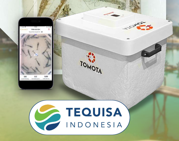 Screenshot 2024-02-20 131921.png