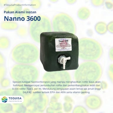 Nanno 3600.png