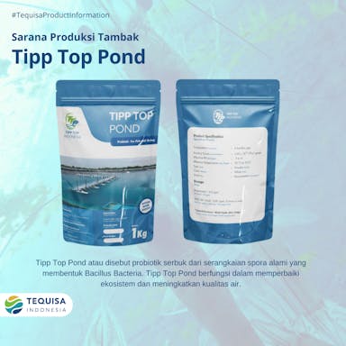 Tipp Top Pond.png