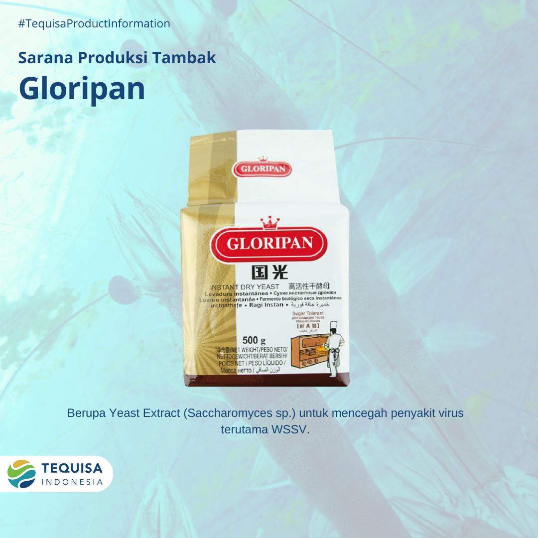 Gloripan