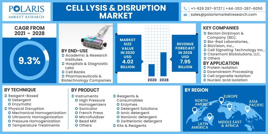 Cell Lysis _ Disruption Market.jpg