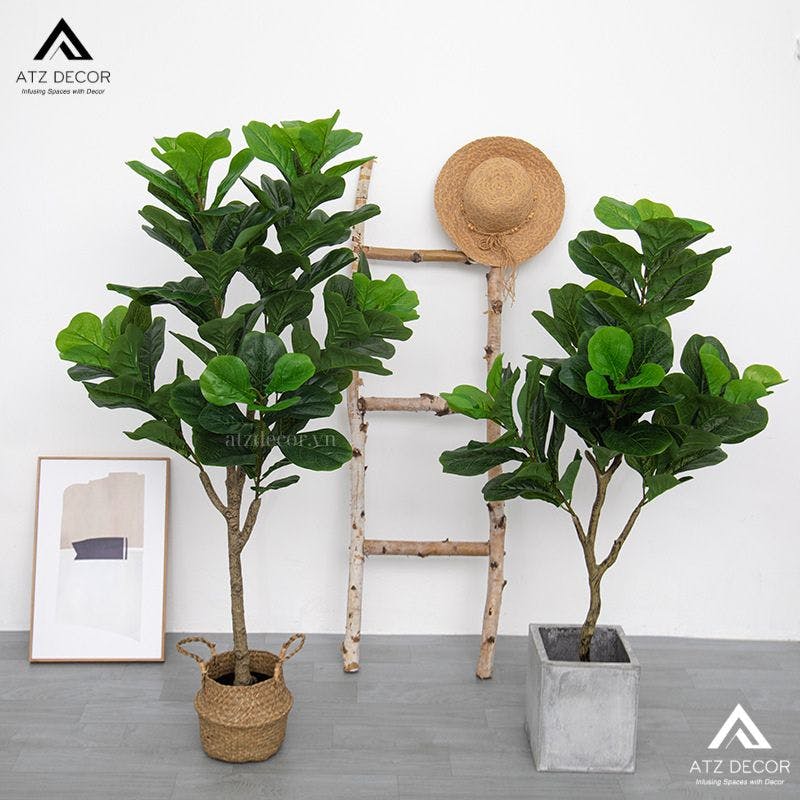 cay bang gia decor dep mat.jpg