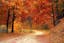 autumn-colorful-colourful-33109.jpg