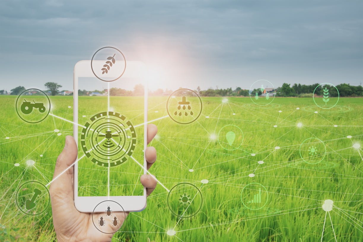 Crop Management Software.jpg