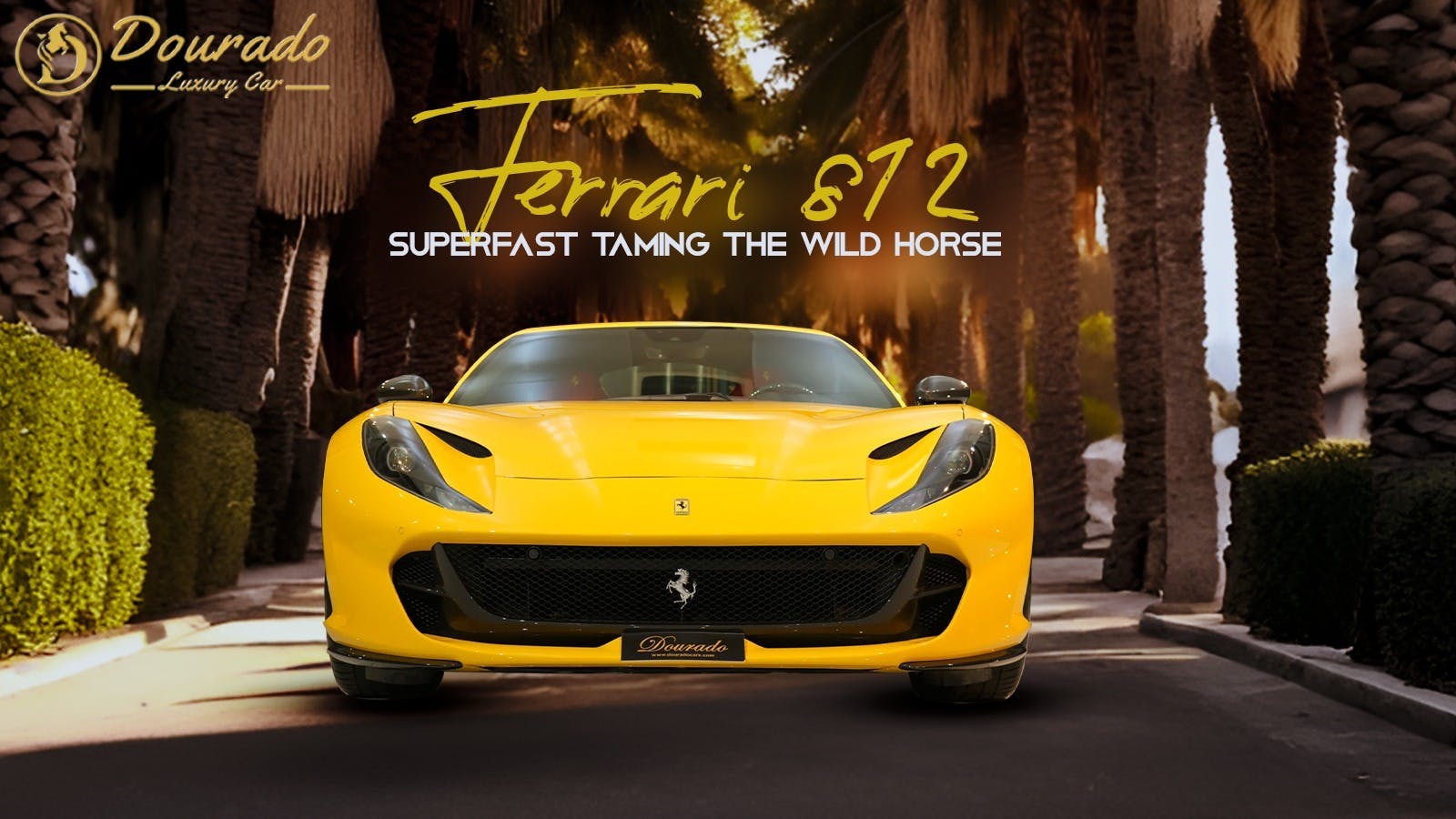 WhatsApp Image 2025-02-17 at 3.16.55 PM (1).jpeg