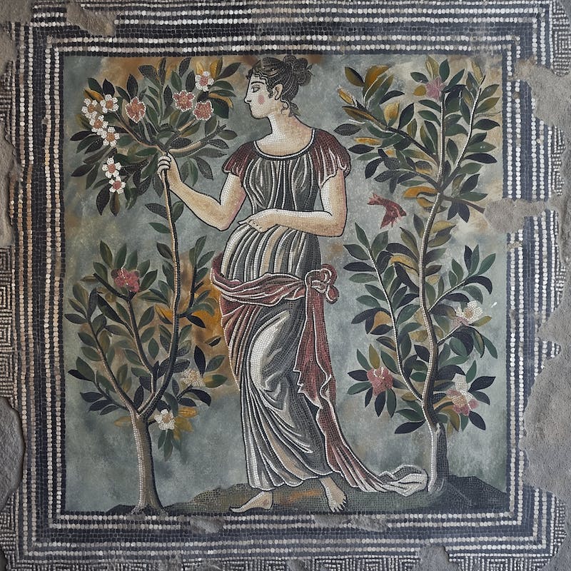 kgcdx_hallucination_woman_persephone_etruscan_mosaic_a584be0c-47be-4c66-be13-ff3107359c58.png