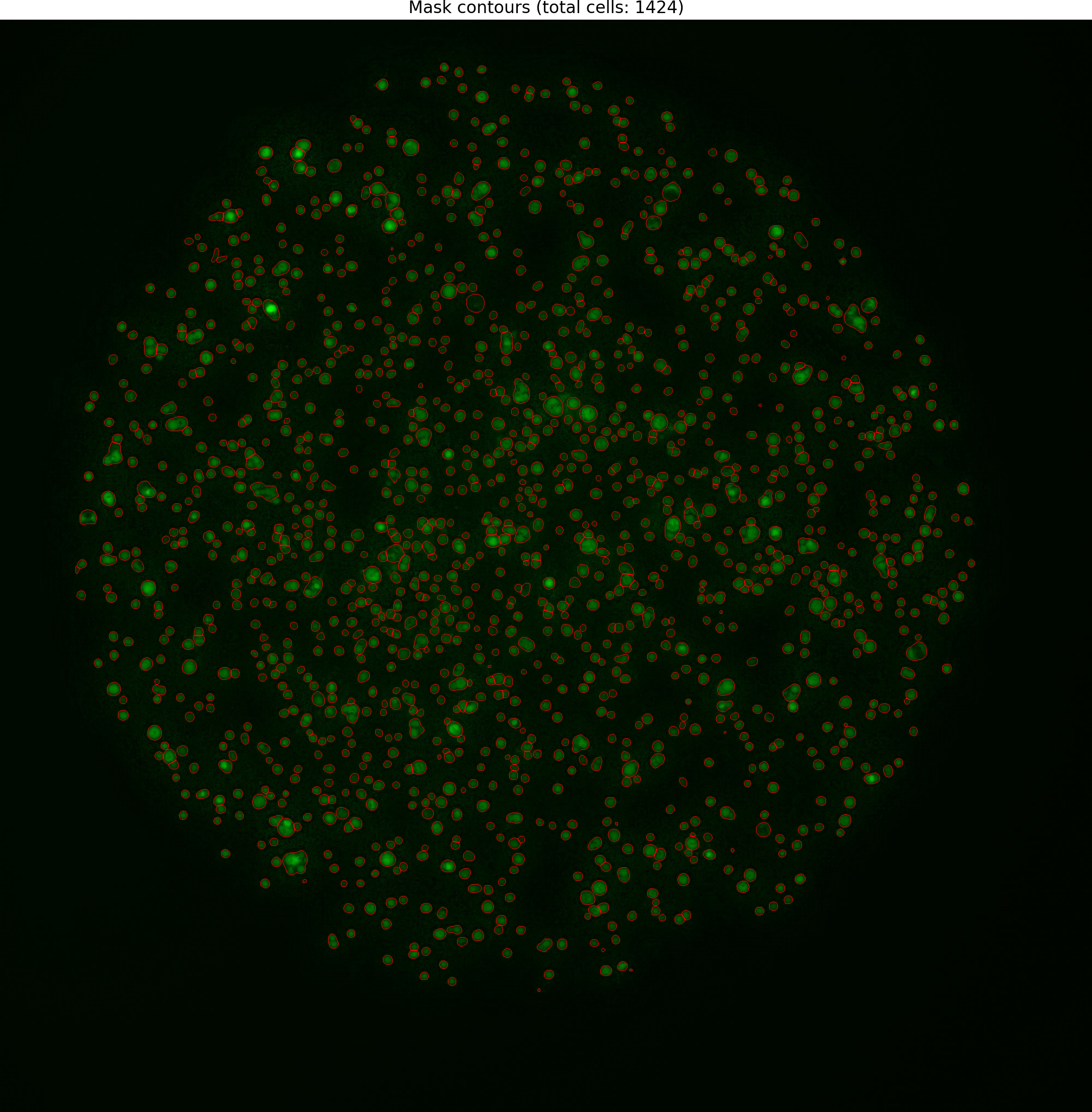 Cell Image (252)_overlay.png