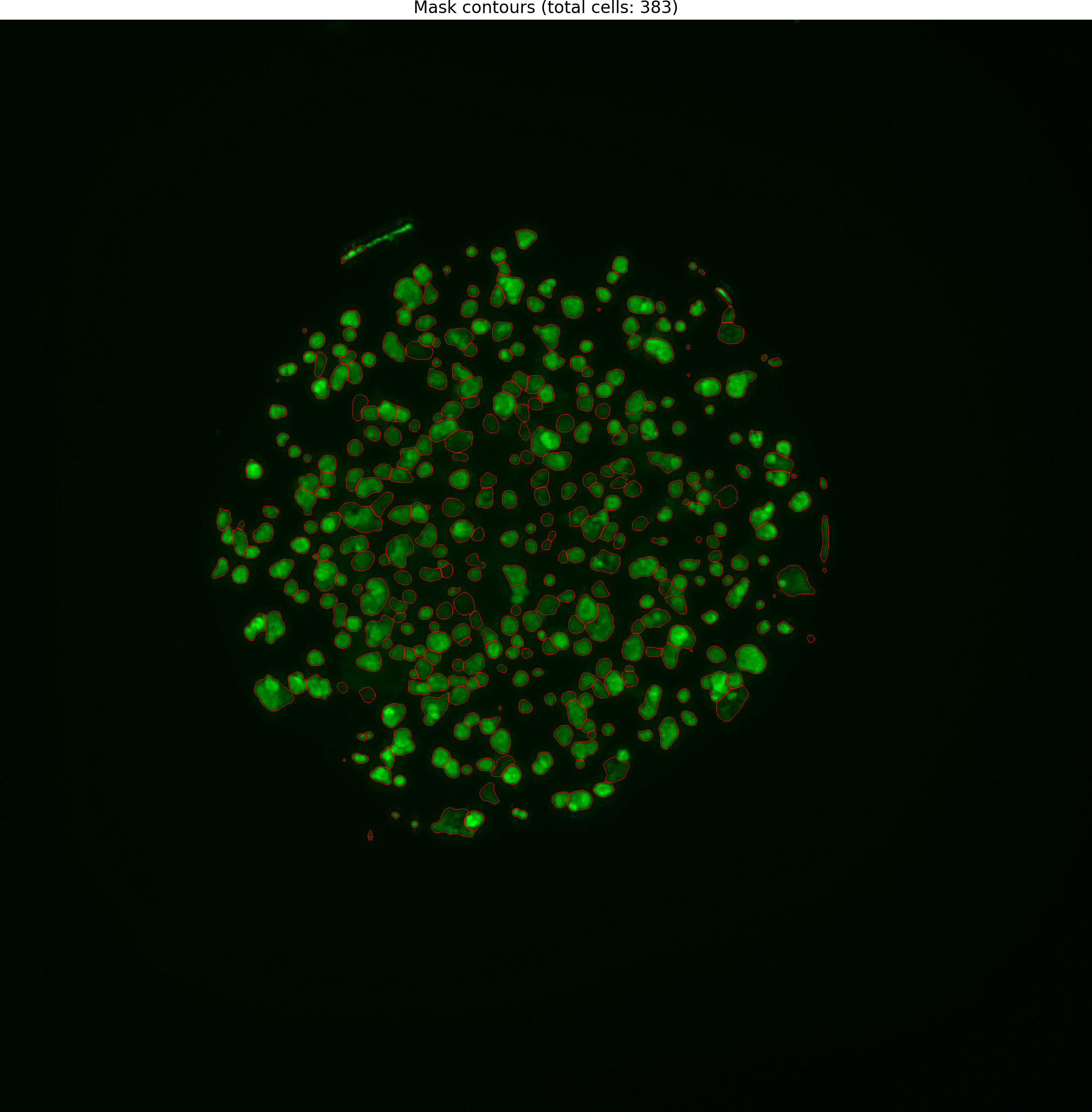 Cell Image (241)_overlay.png