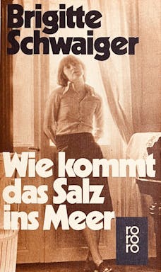 1120_wie kommt das Salz ins Meer - 1.jpeg