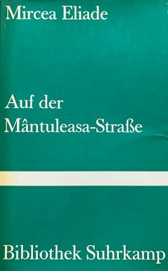 594_auf der matuleasa-straße.jpg