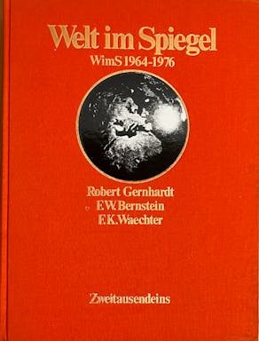 859_Welt im Spiegel - 1.jpeg