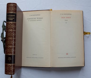 77_Der Idiot.jpg