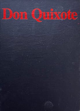 929_don quixote - 1.jpeg