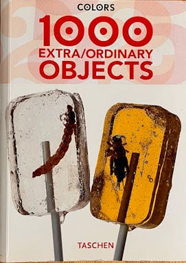 853_1000 extraordinary Objects - 1.jpeg