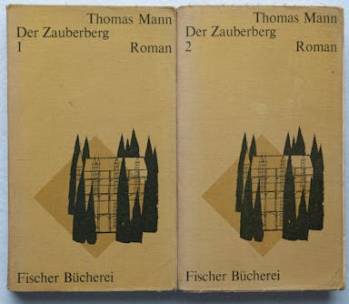 97_Der Zauberberg T.Mann.jpg