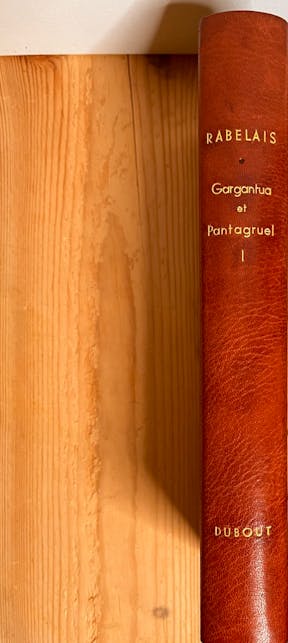 857_Gargantua und Pantagruel Band I & II - 1.jpeg