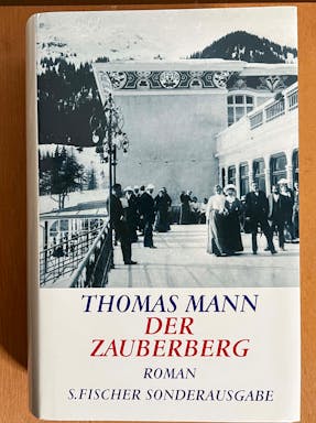 490_Der Zauberberg t.Mann.jpg