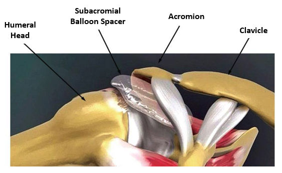Diagram

Description automatically generated