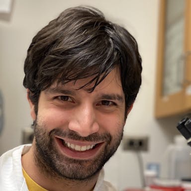 IMG_E2125 - Leo in America.JPG