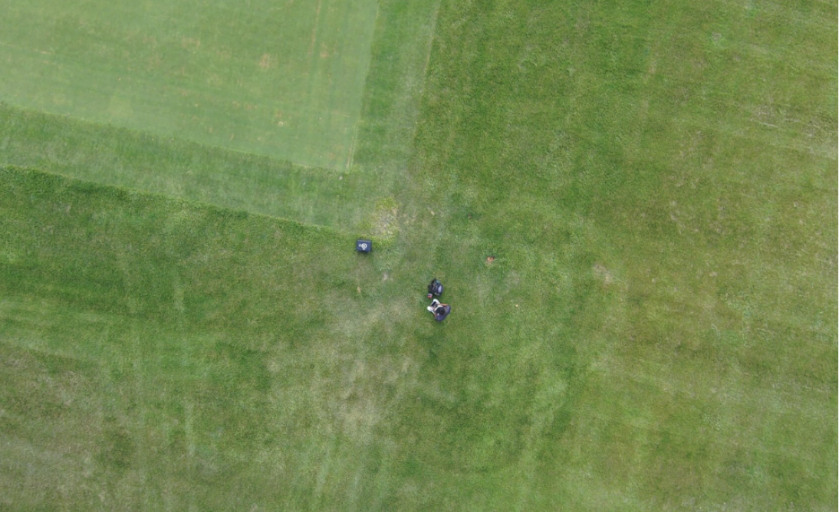 A person standing on a lawn

AI-generated content may be incorrect.